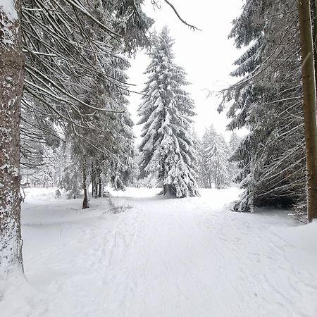 Hotel Zum Gruendle Oberhof  Exteriér fotografie