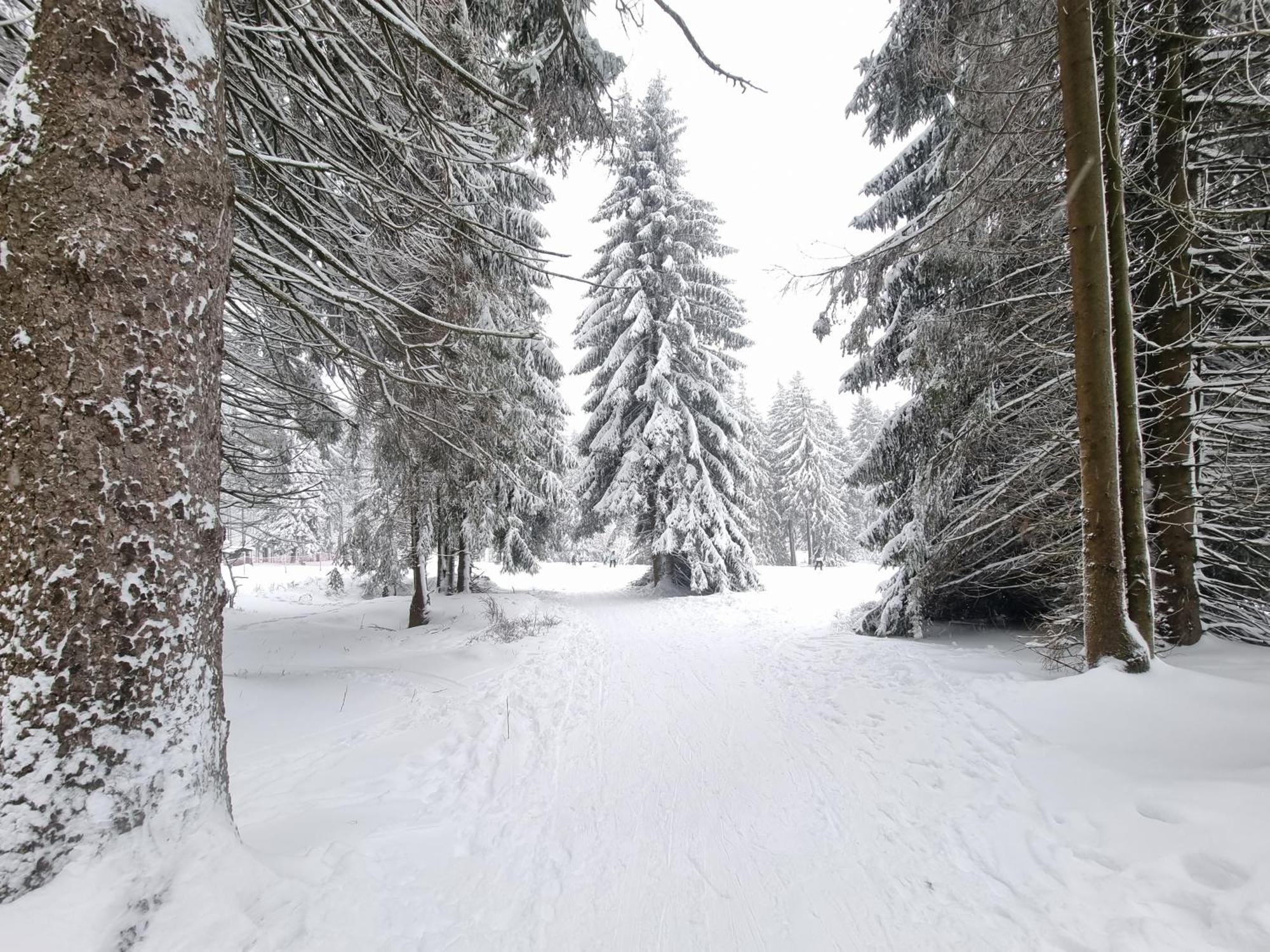Hotel Zum Gruendle Oberhof  Exteriér fotografie